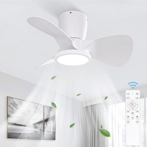31qEp2-c3qL._SL500_.jpg