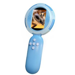 B0FL6WTP25